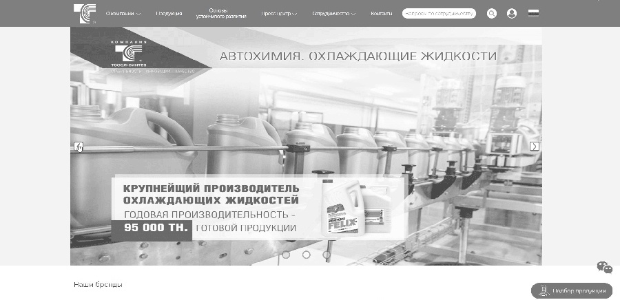 Разработка сайта для одного из крупнейших в России производителей автохимии